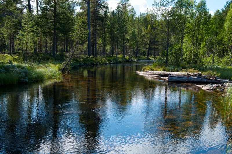 Szlakiem czerwonej drogi